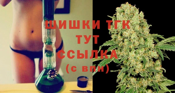 амф Аркадак