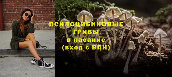 амф Аркадак