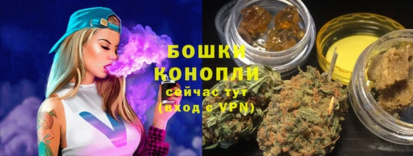 амф Аркадак