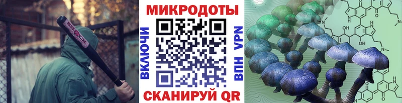 маркетплейс как зайти  Новомосковск  Галлюциногенные грибы GOLDEN TEACHER  купить  